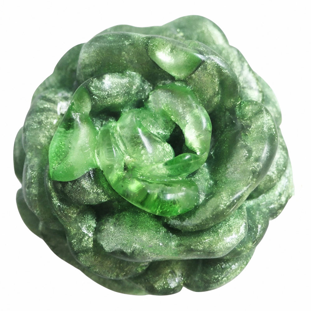 5500011-Stania-V-Verveine.jpg