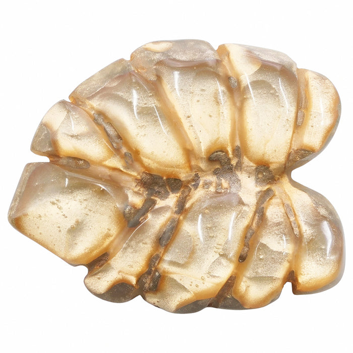 Coloris Beige