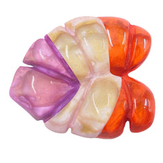 Multirose
